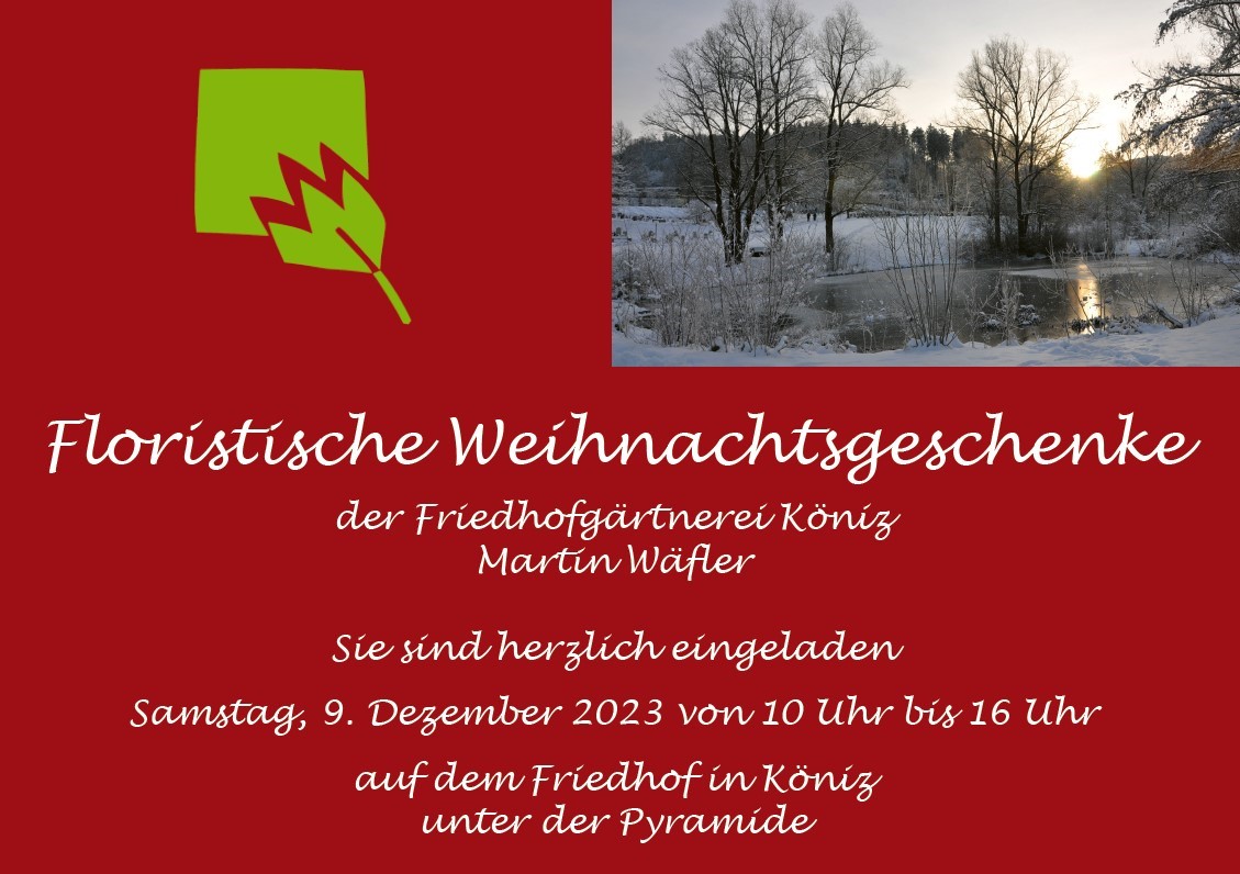 Floristische Weihnachtsgeschenke